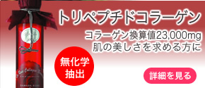 �g���y�v�`�h�R���[�Q��
