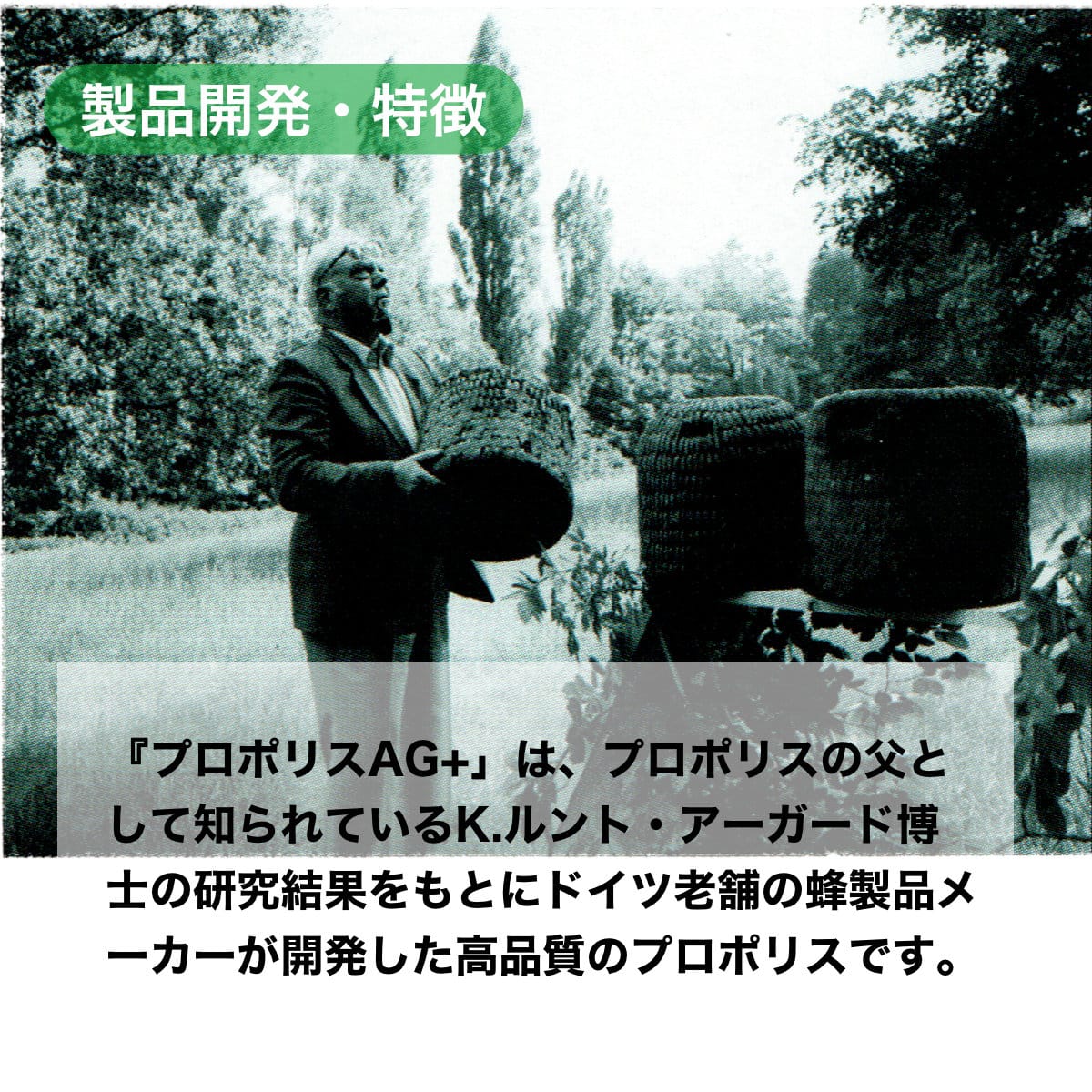 プロポリス(歯磨き粉)