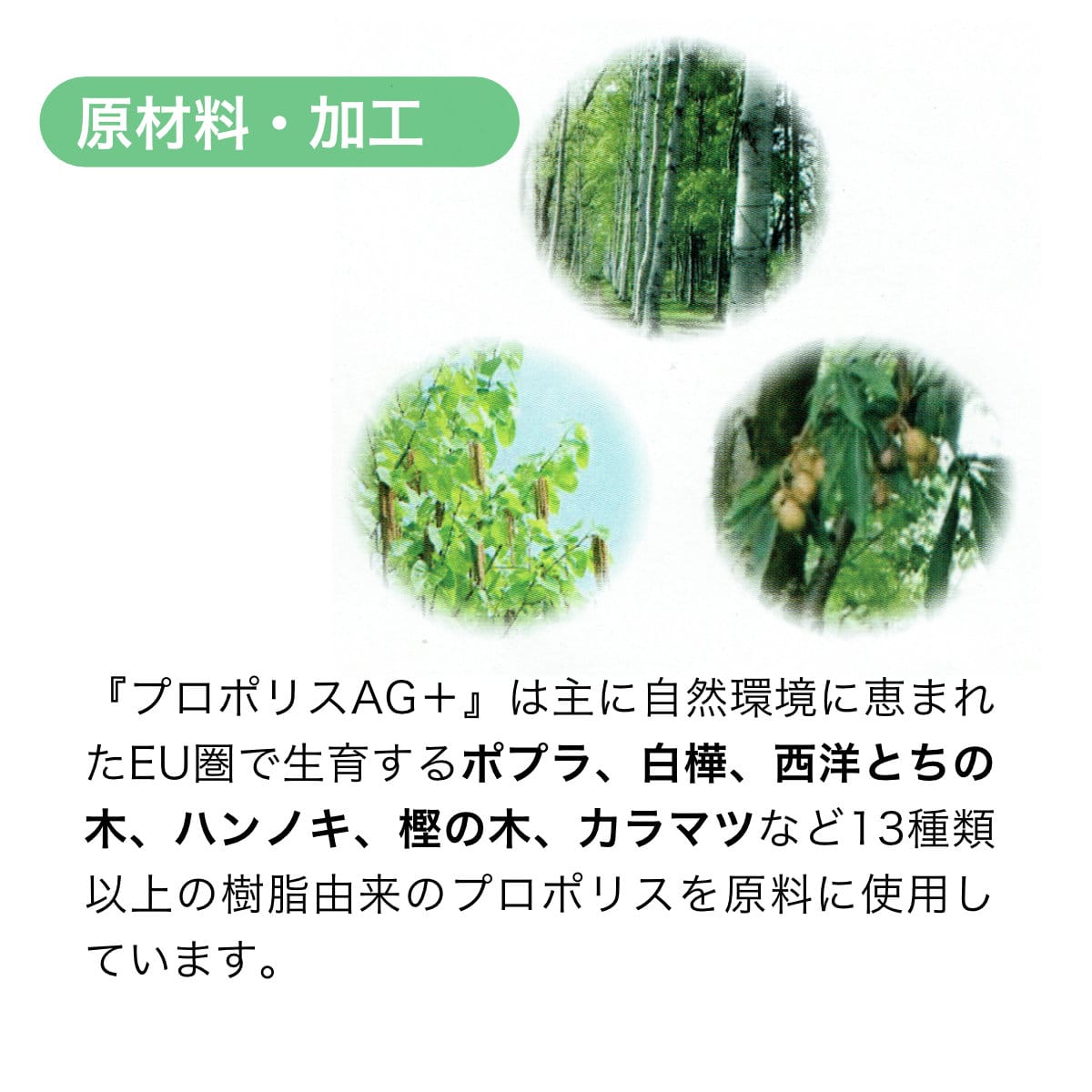 プロポリス(歯磨き粉)