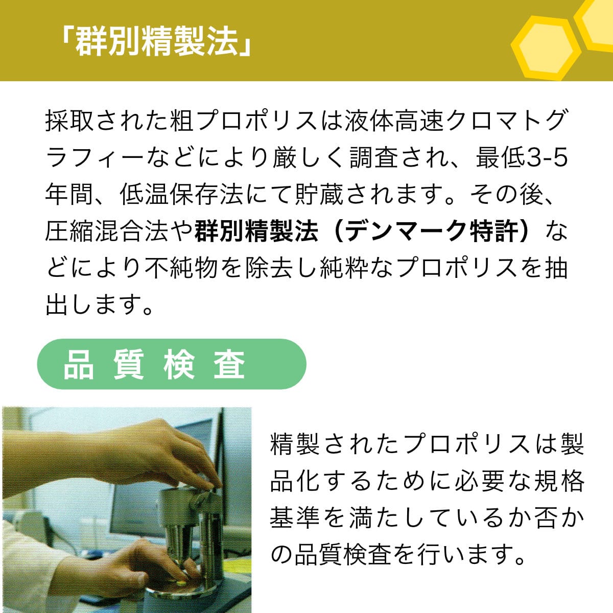 プロポリス(歯磨き粉)