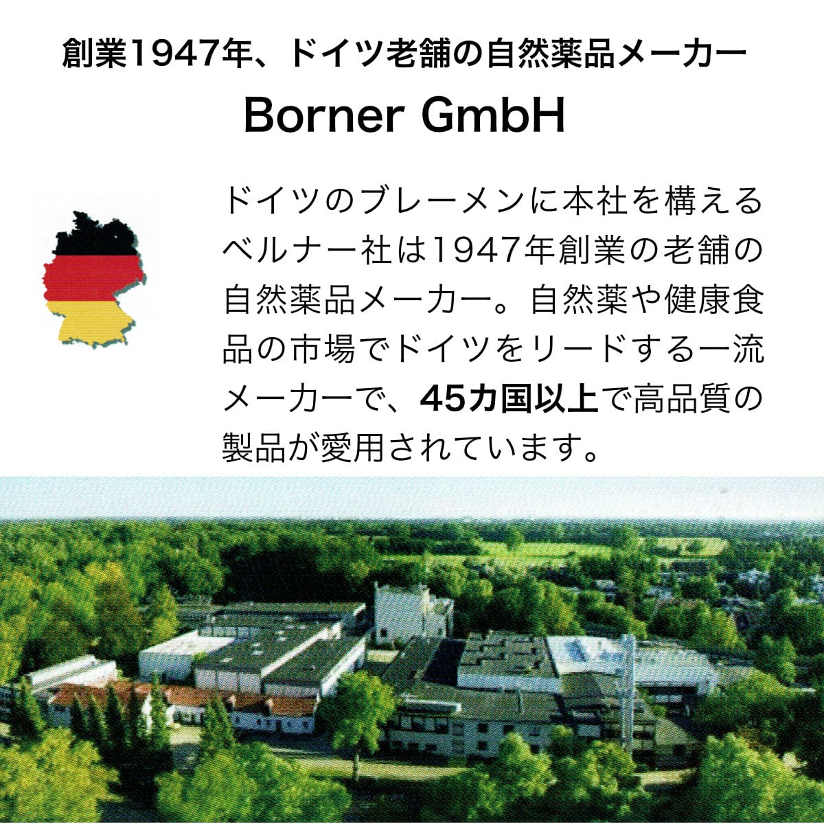 プロポリス(歯磨き粉)