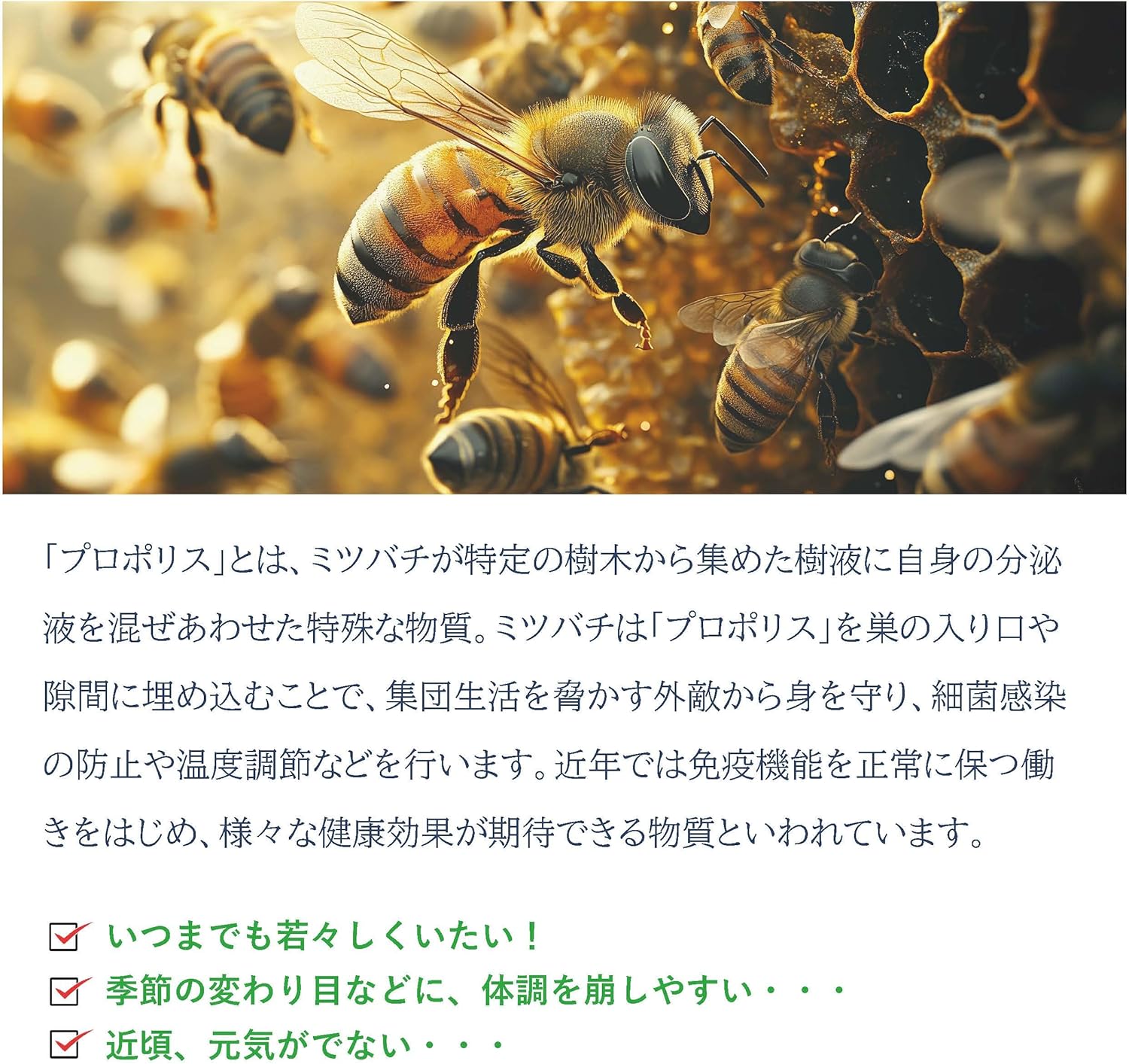 プロポリス